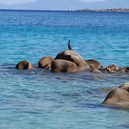 Chez Bea * Lumio (Corsica)
