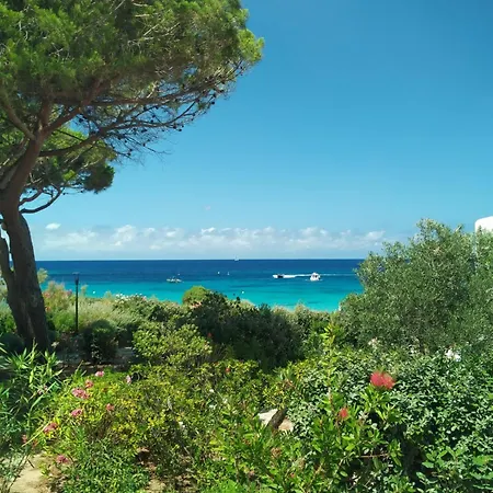 Chez Bea Apartamento Lumio (Corsica)