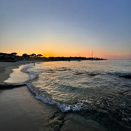 Chez Bea * Lumio (Corsica)